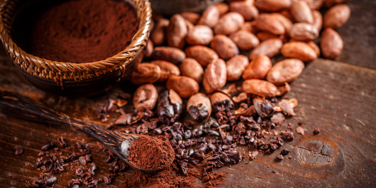 ORGANIC RAW CACAO POWDER