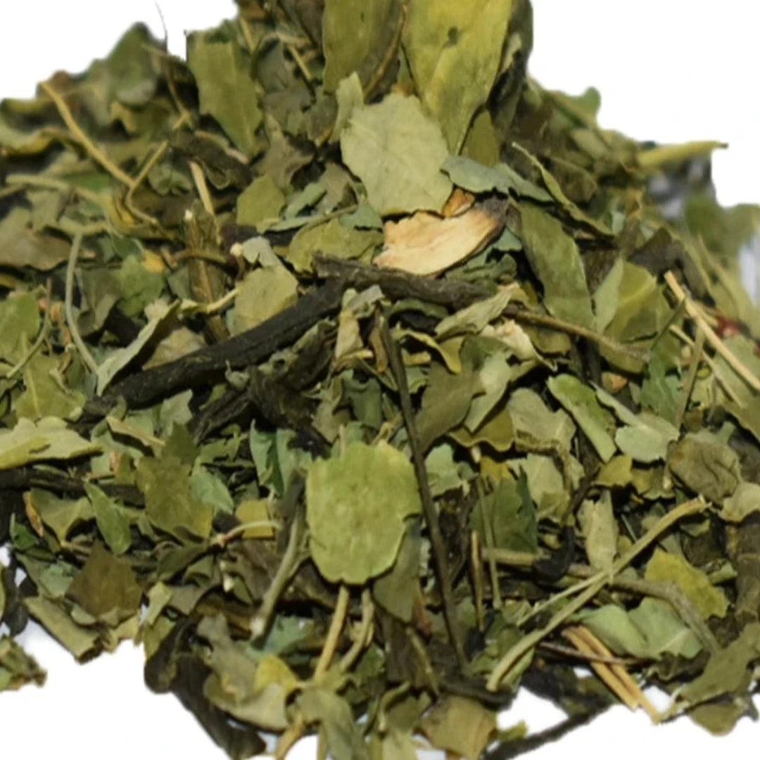 ORGANIC MORNING GREEN MORINGA TEA