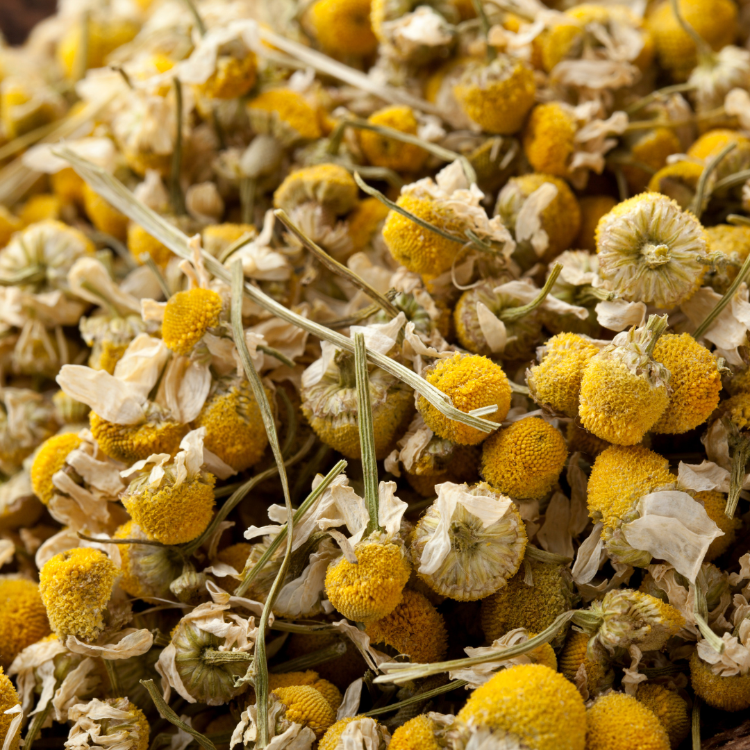 ORGANIC CHAMOMILE TEA