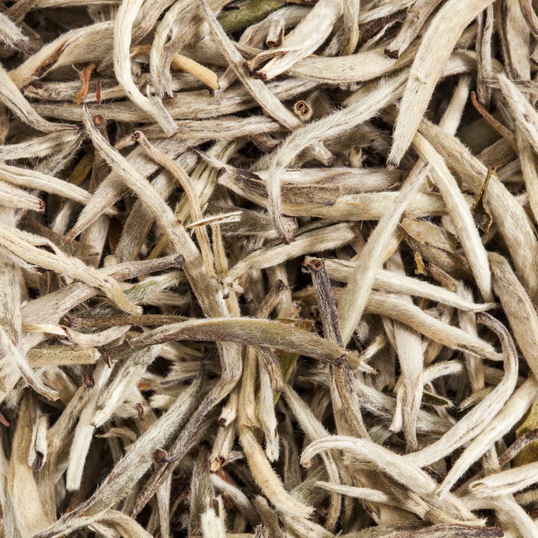 ORGANIC CEYLON SILVER TIPS