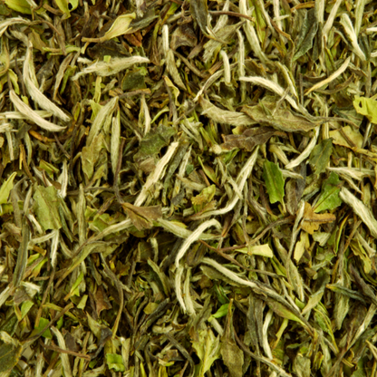 ORGANIC RASPBERRY LEAF TEA