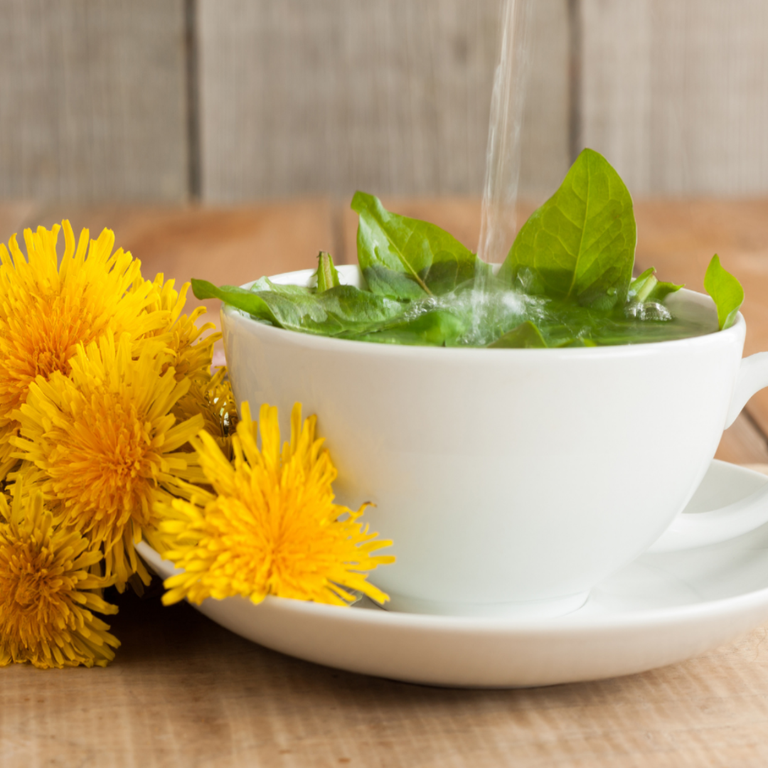 ORGANIC DANDELION LEAF TEA